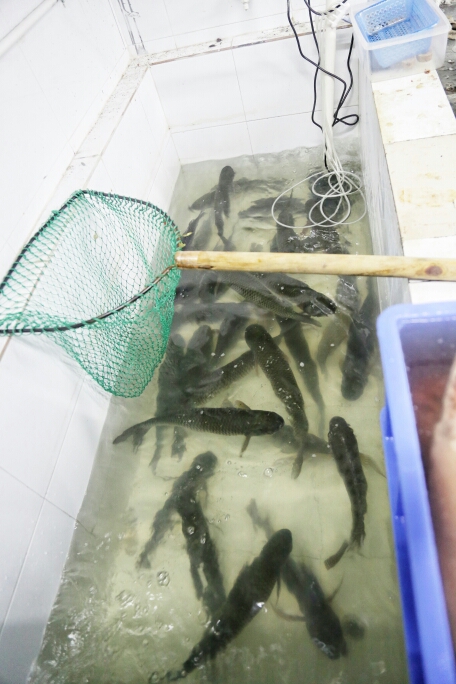 烤鱼加盟|鱼当道烤鱼|烤鱼培训|烤鱼店加盟